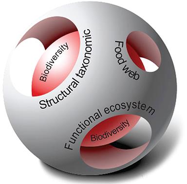 What Is Marine Biodiversity? Towards Common Concepts and Their Implications for Assessing Biodiversity Status